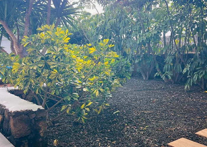 Casa Kanela - Luxe Volcan & Piscine Chauffee לאחארס