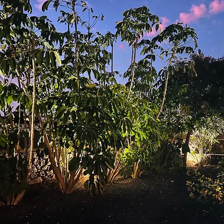 Casa Kanela Luxe Piscine & Vue Volcan * 拉哈雷斯